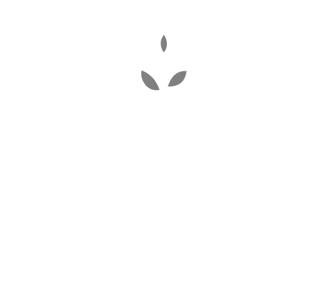 Logo de la Fondation Train Solidaire